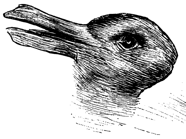 Duck or Rabbit?