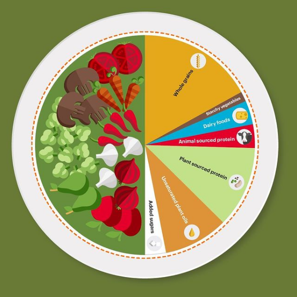 Harvard School of Public Health Food Plate