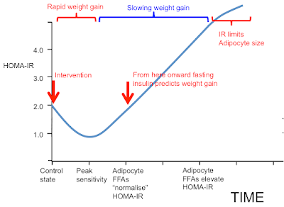 insulin sensitizing