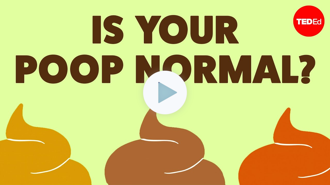 What your poop can tell you about your health - Hannibal Person