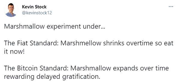 Marshmallow Experiment