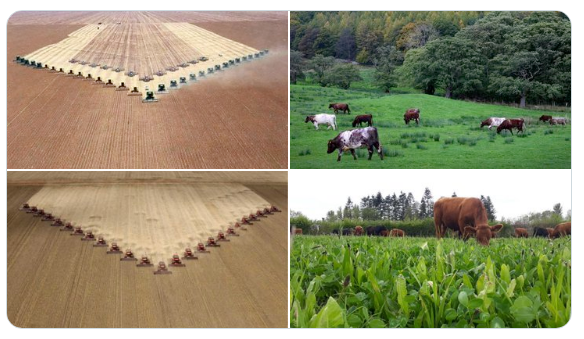 Meat vs Crops