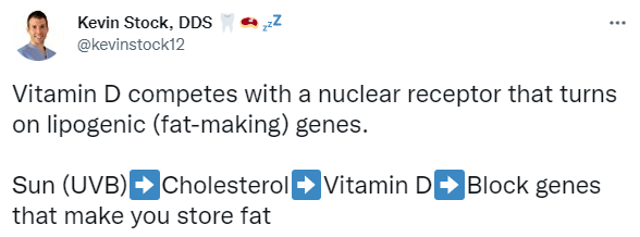 Vitamin D and Fat Loss