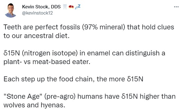 The Perfect Fossil - Teeth