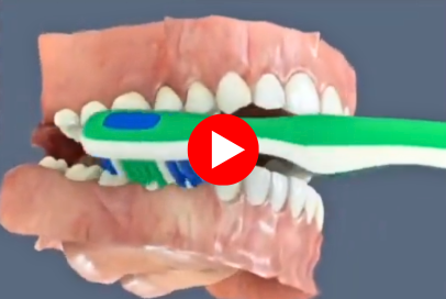 how to brush your teeth