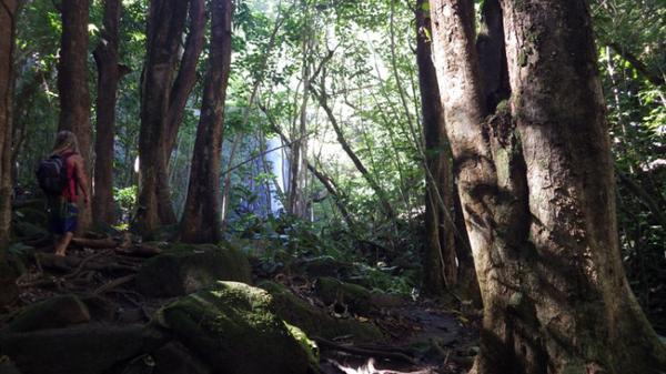 Solo Hiking: Top Tips for Walking Holidays