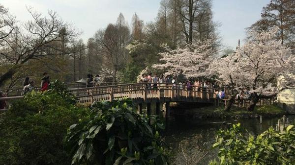 Omotenashi: Japan is Welcoming for Solo Travelers