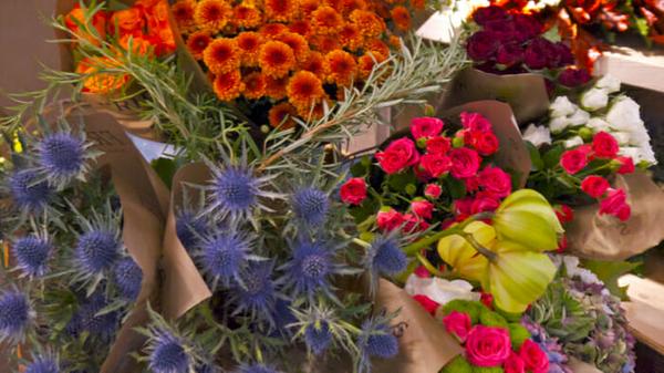 Long-term Travel Guide: Slow Travel One Destination or Tour Many