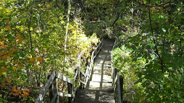 Successful Trip Planning: Address the Obstacles First