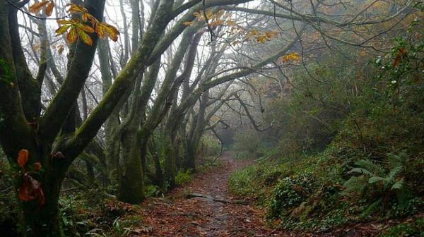 Slow Solo Travel: Connecting to Yourself and the World