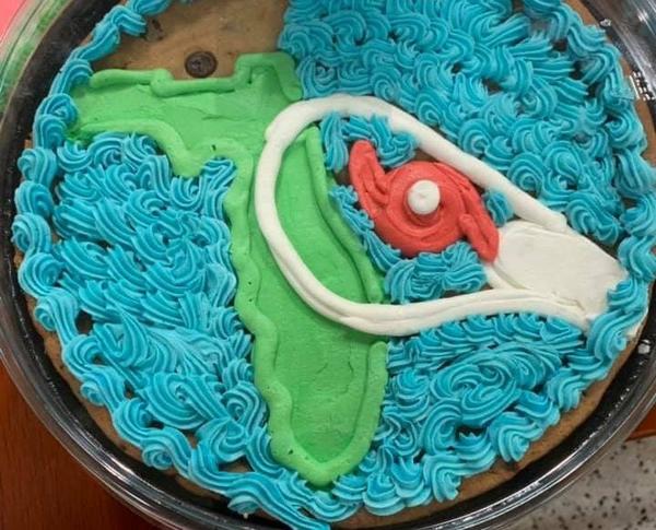 Publix was selling these Hurricane Dorian cookie cakes earlier this week.