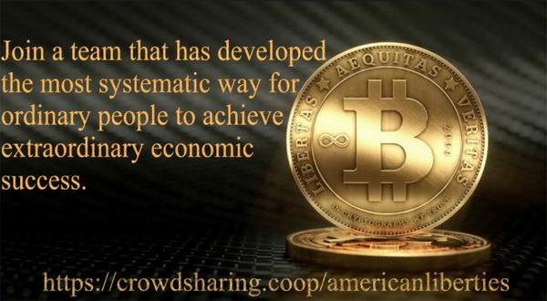 https://crowdsharing.coop/americanliberties