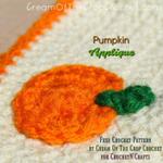 Pumpkin Applique ~ FREE Crochet Pattern