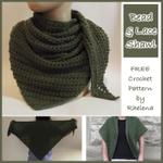 Bead and Lace Shawl ~ FREE Crochet Pattern