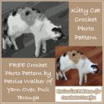 Kitty Cat Crochet Photo Pattern ~ FREE Crochet Pattern