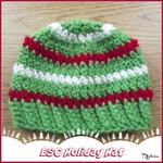 ESC Holiday Hat ~ FREE Crochet Pattern