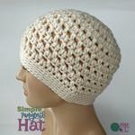 Simple Ponytail Hat ~ FREE Crochet Pattern