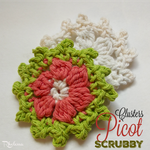 Cluster Picot Scrubby ~ FREE Crochet Pattern