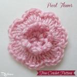 Picot Flower ~ FREE Crochet Pattern