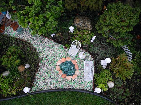 A bird's eye view of the mini garden 