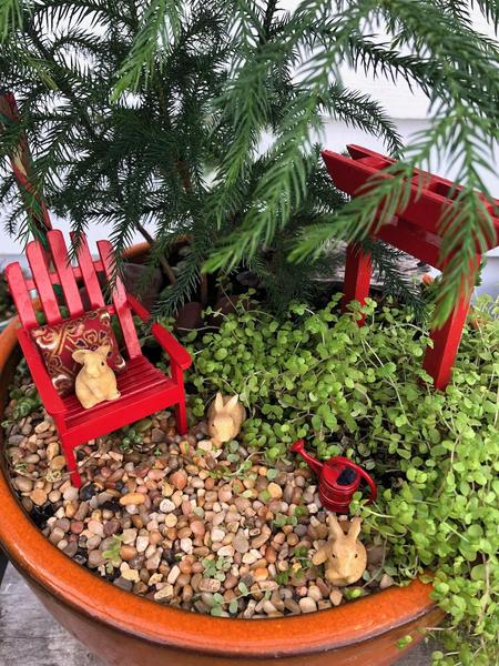 A bird's eye view of the mini garden 