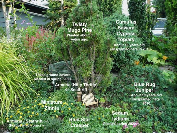https://twogreenthumbs.com/products/miniature-garden-cedar-story-sticks-starter-kit?variant=39542308864079