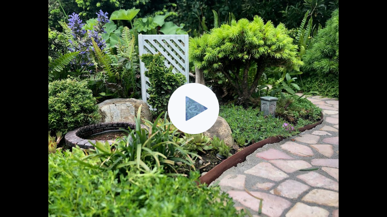 The Miniature Garden Society Cracks the Code to a Successful In-Ground Mini Garden that is EASY!