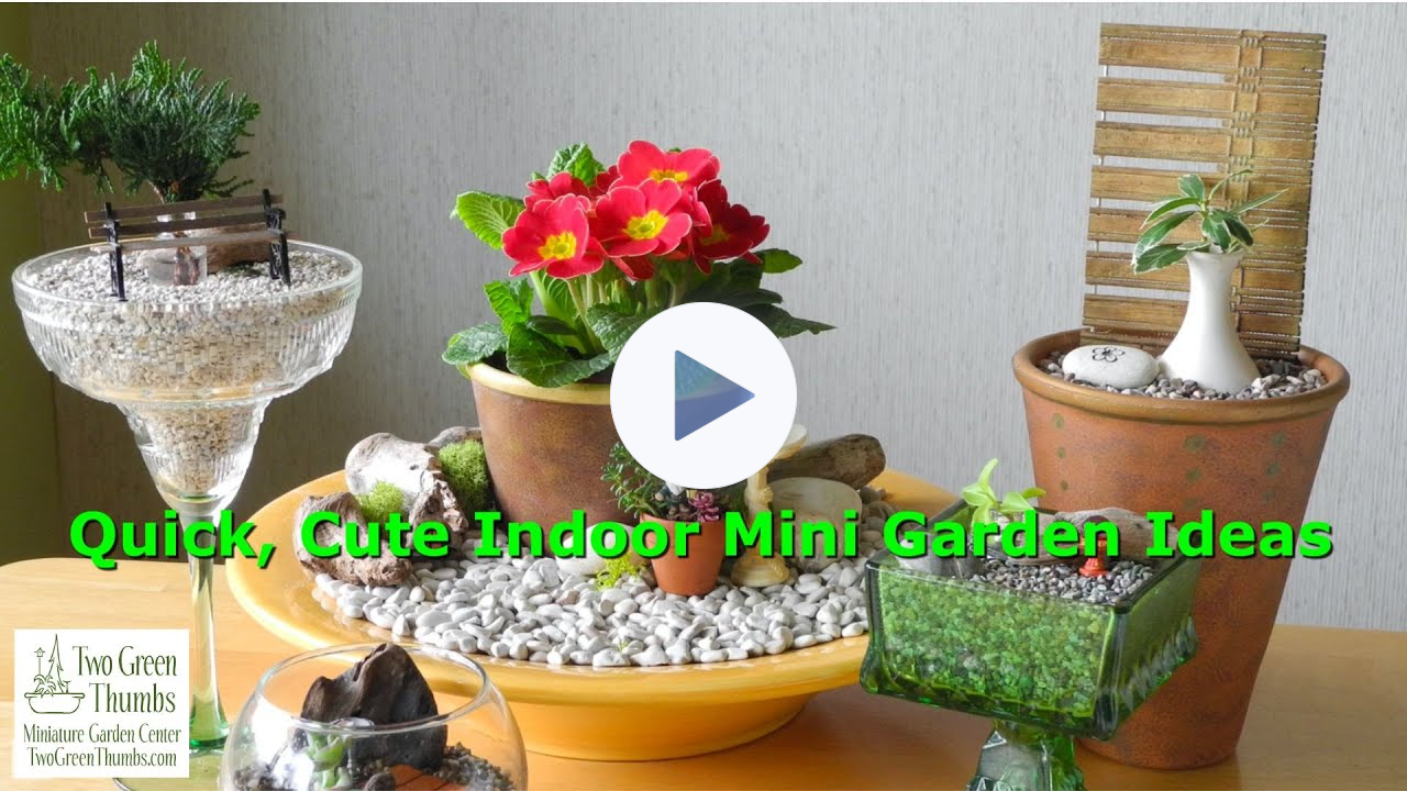 Quick & Cute Indoor Miniature Garden Ideas that are Low Cost and Budget Friendly!