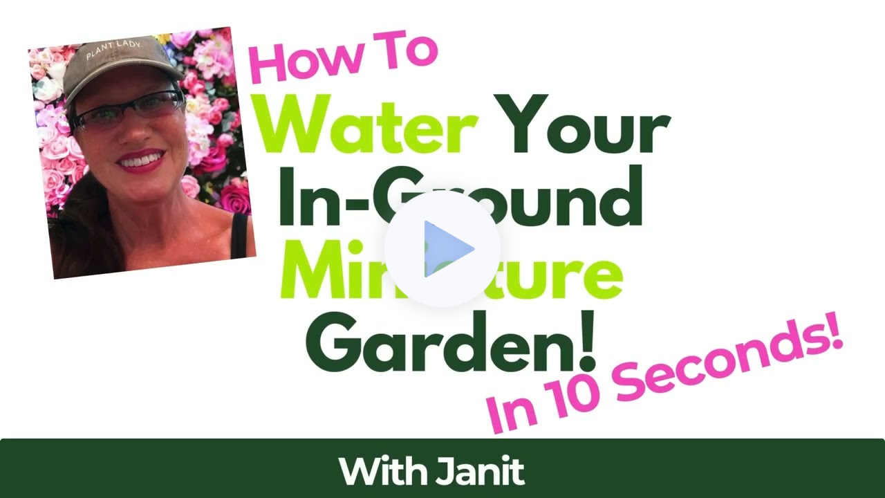 How To Water An In-ground Miniature Garden Vignette in 10 Seconds #protips #garden #miniaturegarden