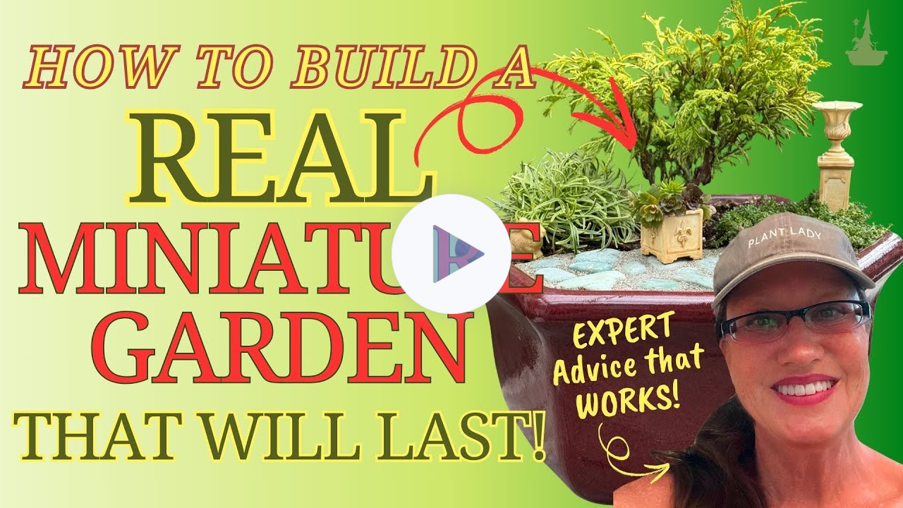 DIY KITS ARE A HIT! Build a REAL Miniature Garden Kit from Two Green Thumbs #diy #garden