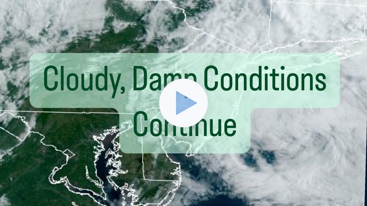 Cloudy, Damp Conditions Continue