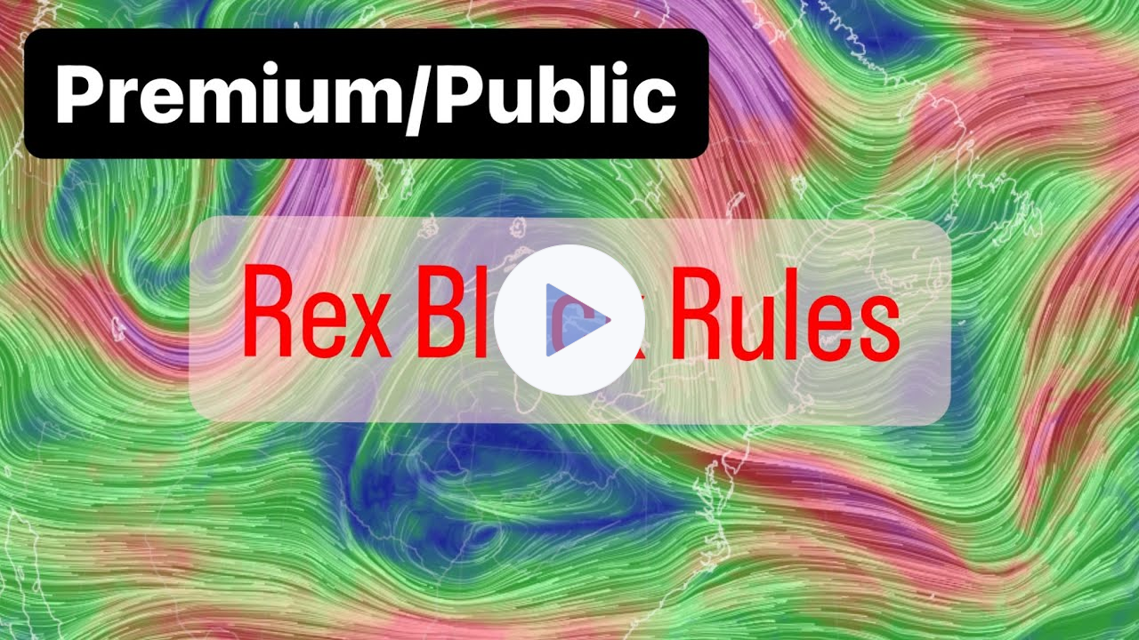 Rex Block Rules