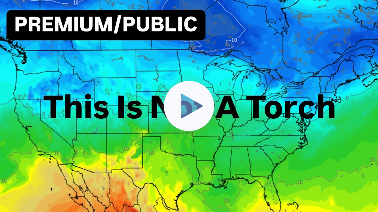 This Is Not A Torch
