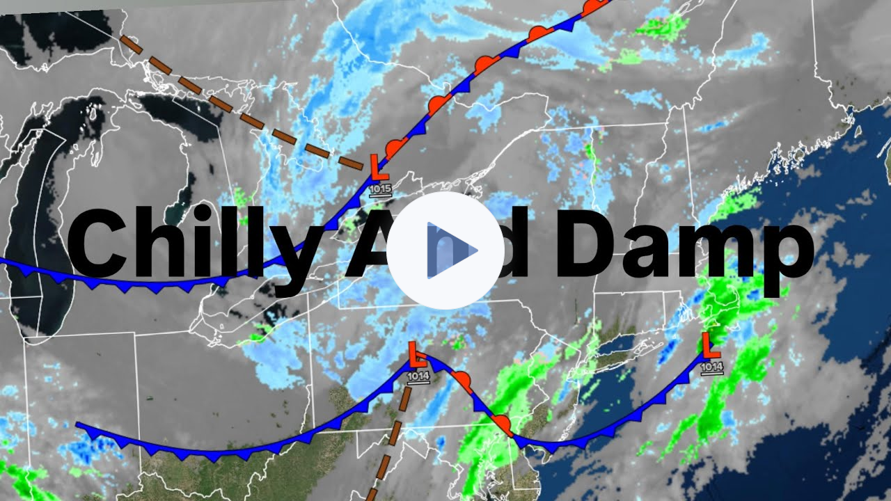 Chilly And Damp