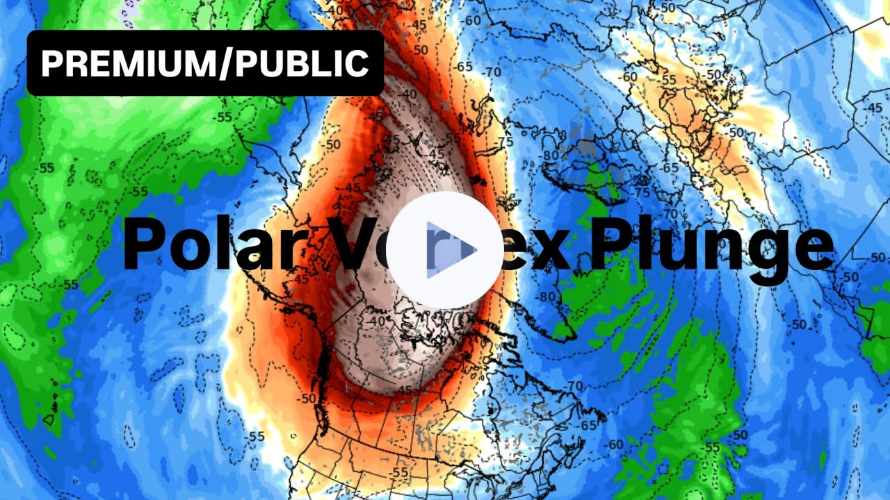 Polar Vortex Plunge