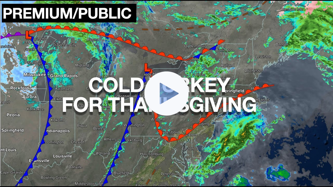 Cold Turkey For Thanksgiving