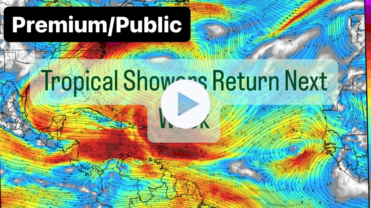 Tropical Showers Return Next Week