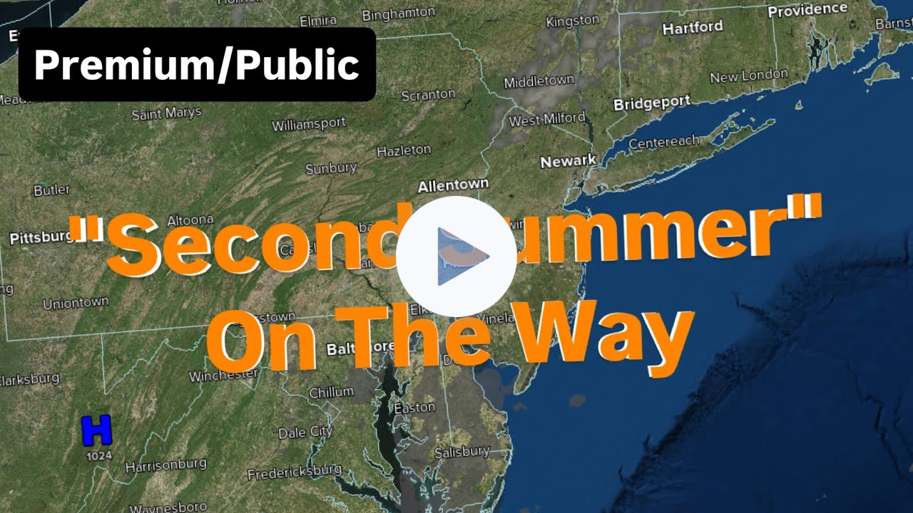 "Second Summer" On The Way