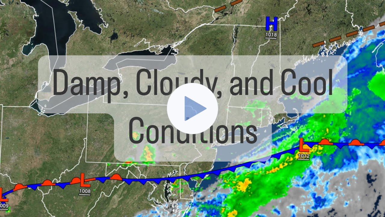 Damp, Cloudy Skies, And Cool Conditions