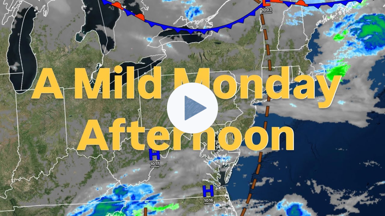 A Mild Monday Afternoon