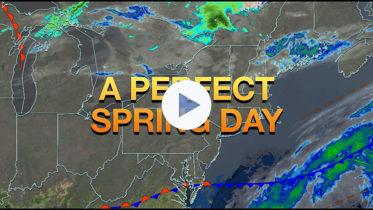 A Perfect Spring Day