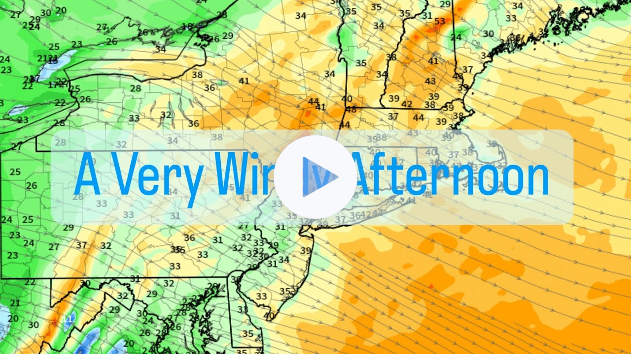 A Very Windy Afternoon