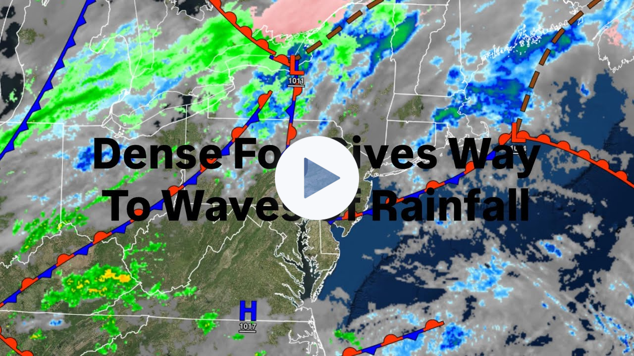 Dense Fog Gives Way To Waves Of Rainfall