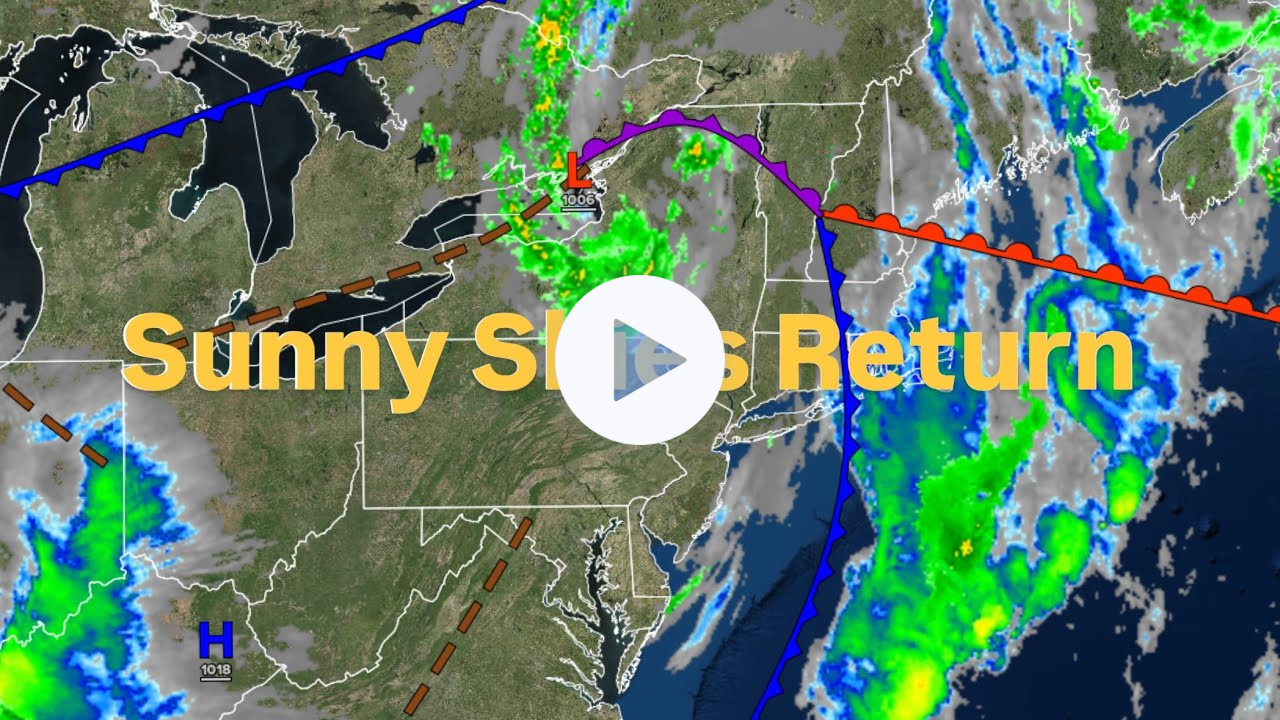 Sunny Skies Return