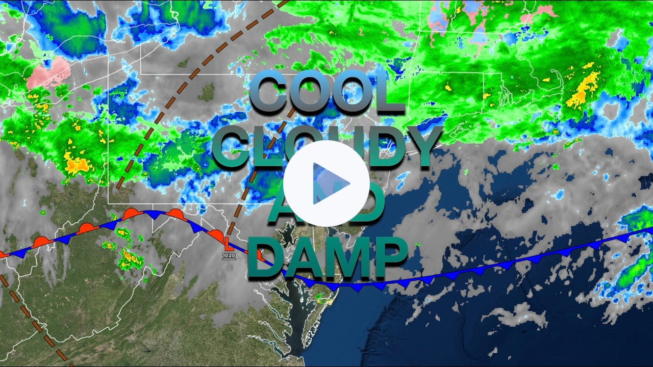 Cool Cloudy And Damp