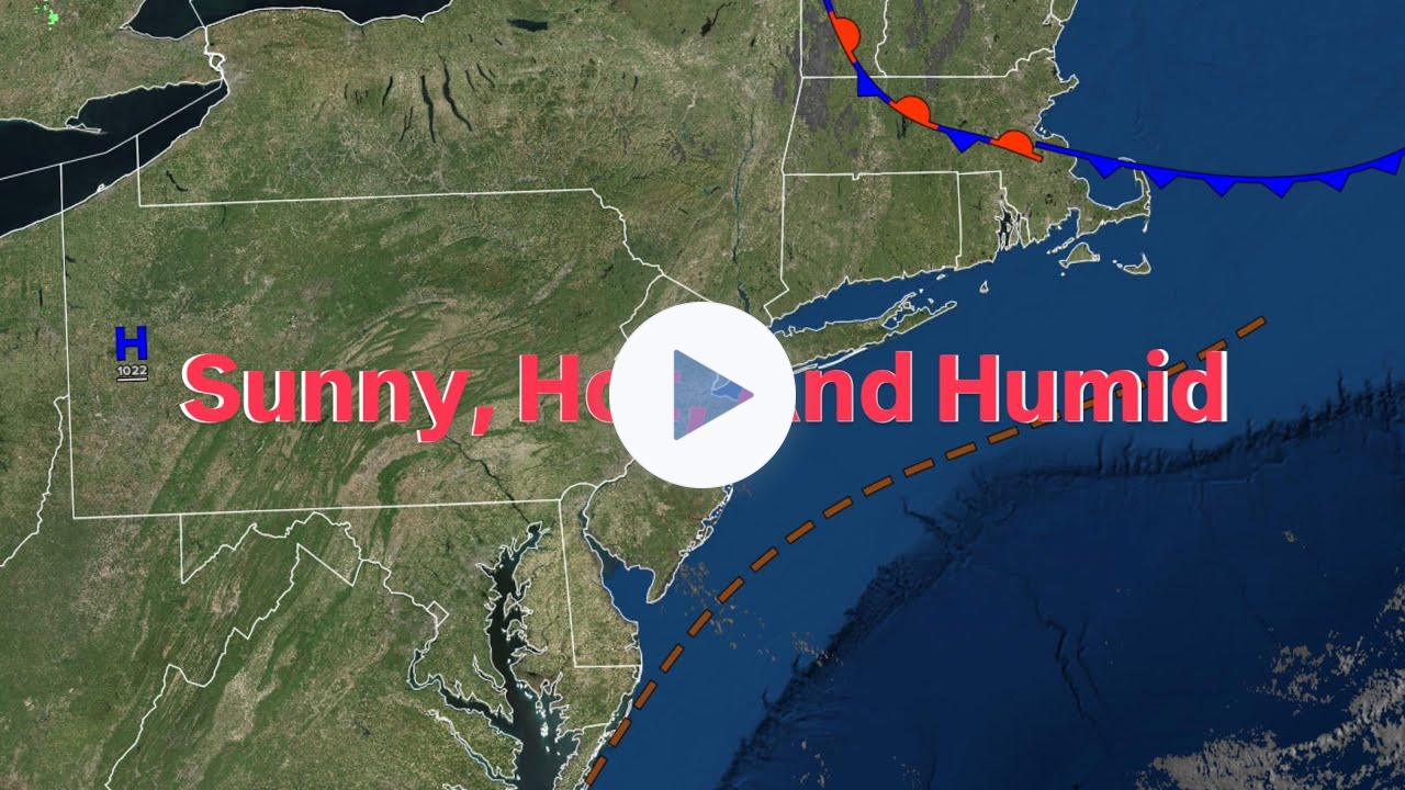 Sunny, Hot, And Humid