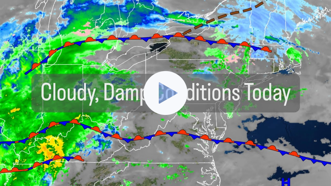 Cloudy, Damp Conditions Today