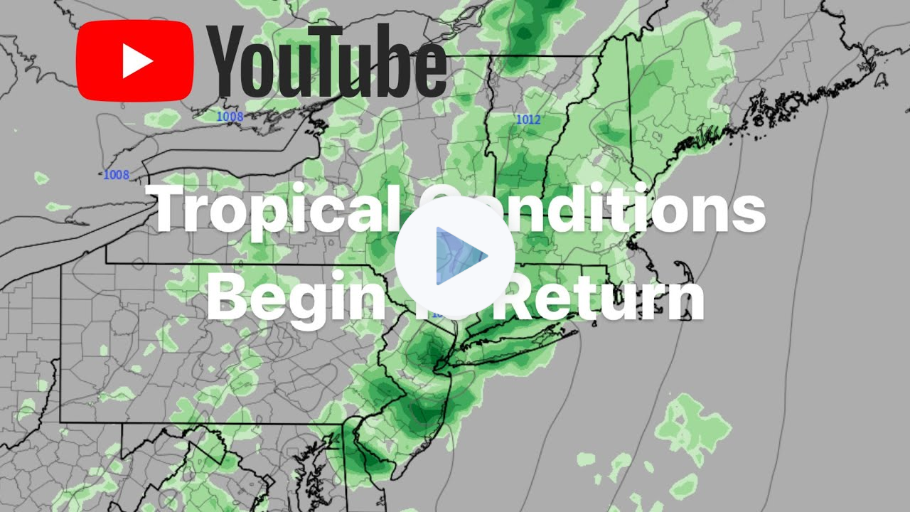 Tropical Conditions Begin To Return