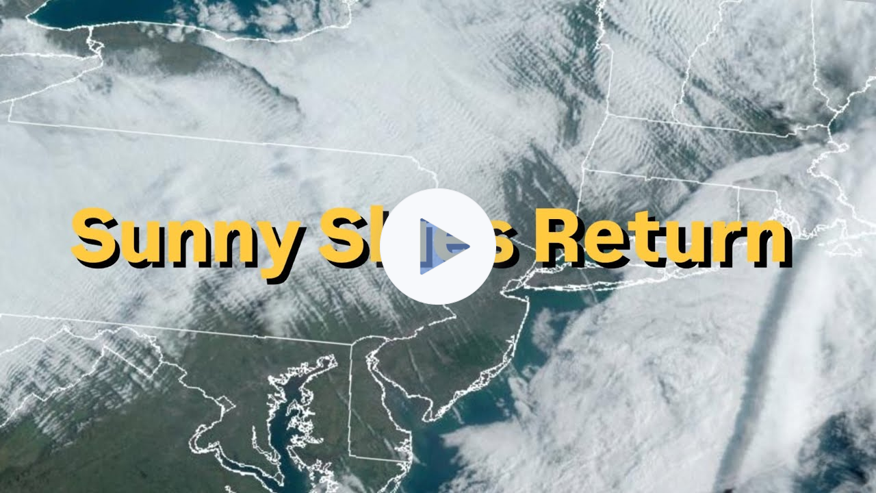 Sunny Skies Return