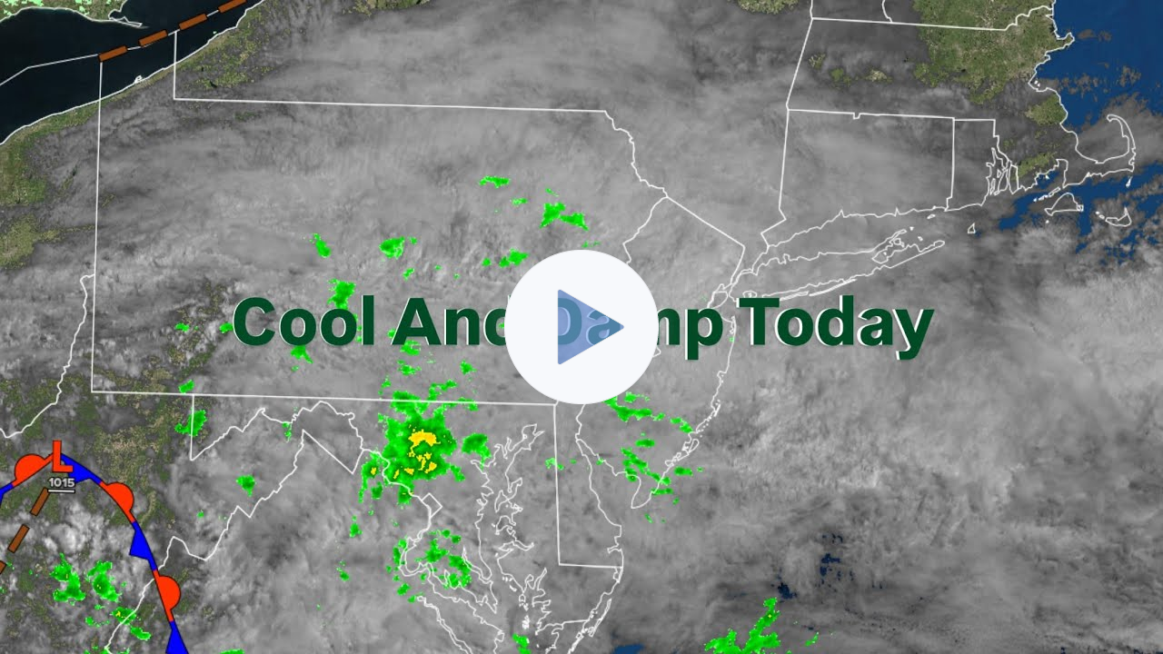 Cool And Damp Today